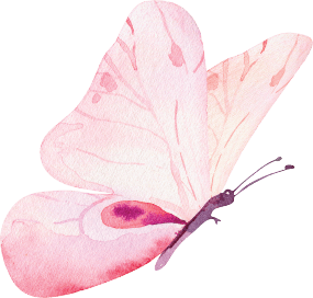 Menoquil Banner Butterfly